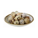 Schaal "Stone Art", Ø15,5xH2,5 cm